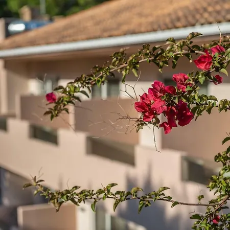 Hotel Vasilikos